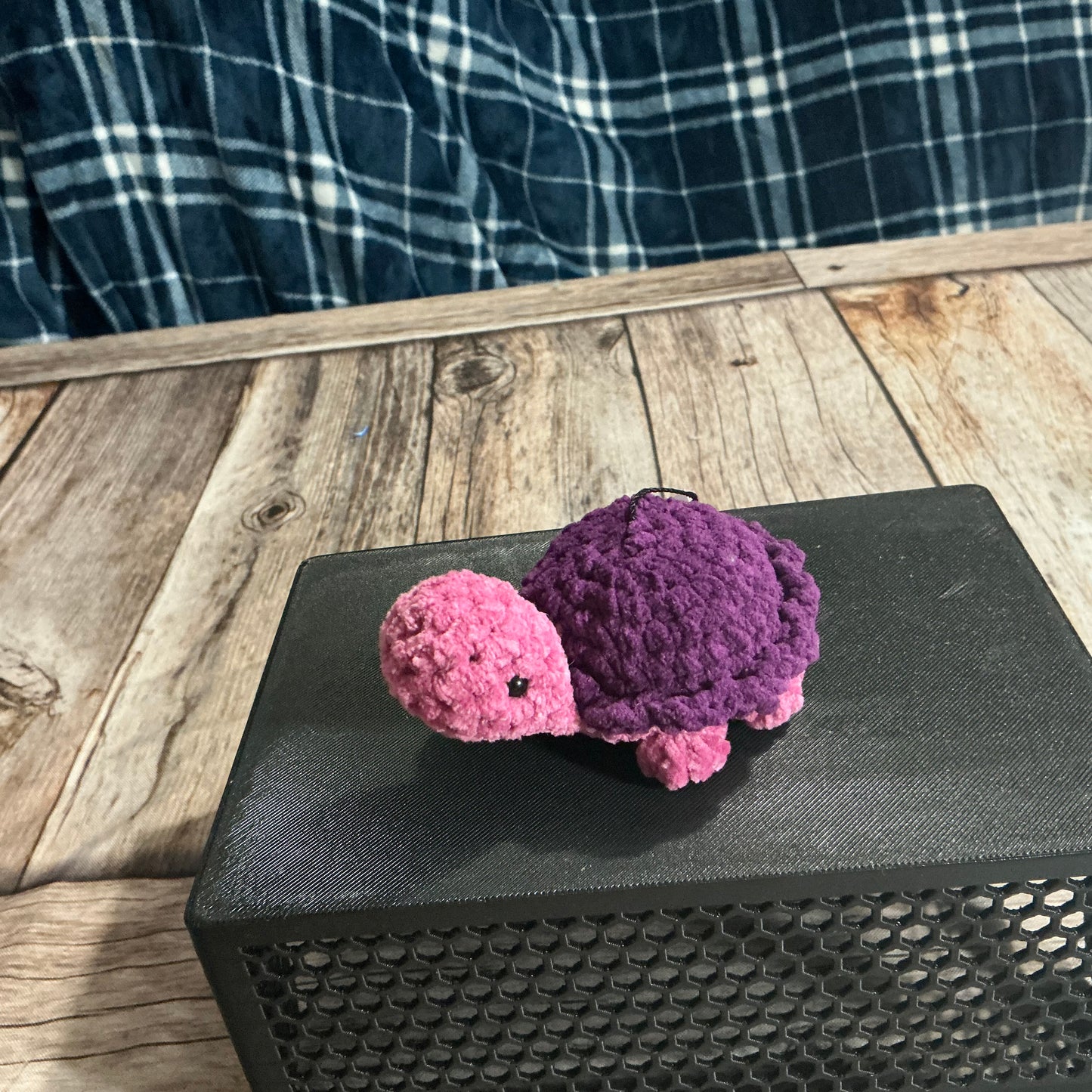 Tiny Tofu Turtle