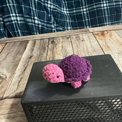 Tiny Tofu Turtle