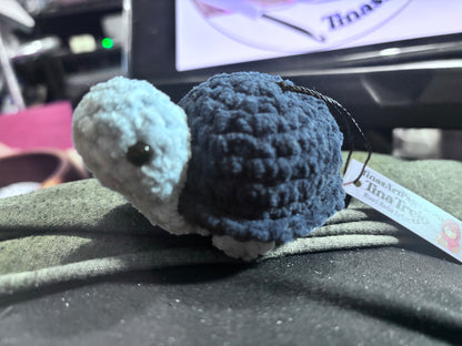 Tiny Tofu Turtle